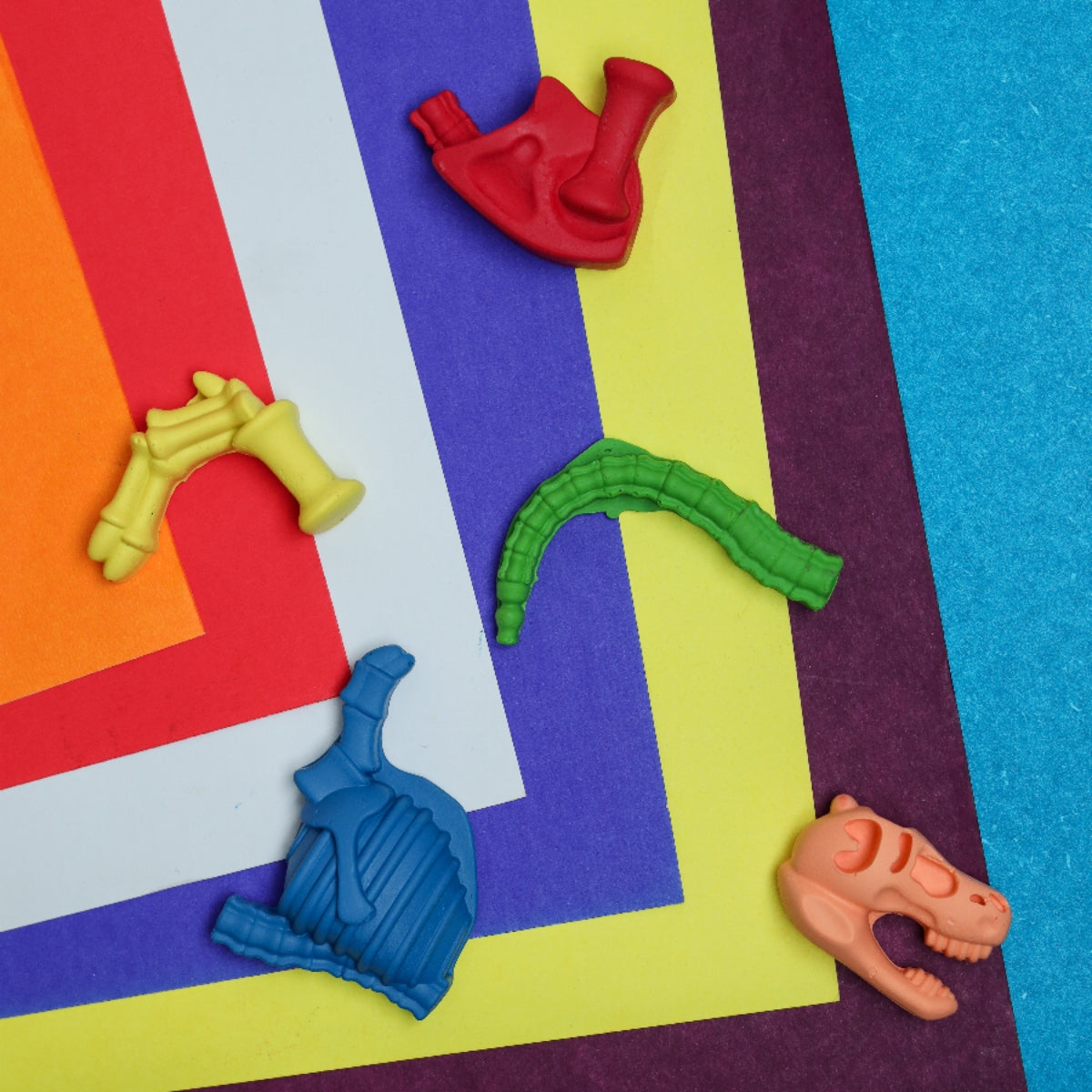 Fossil Crayon Set of 2