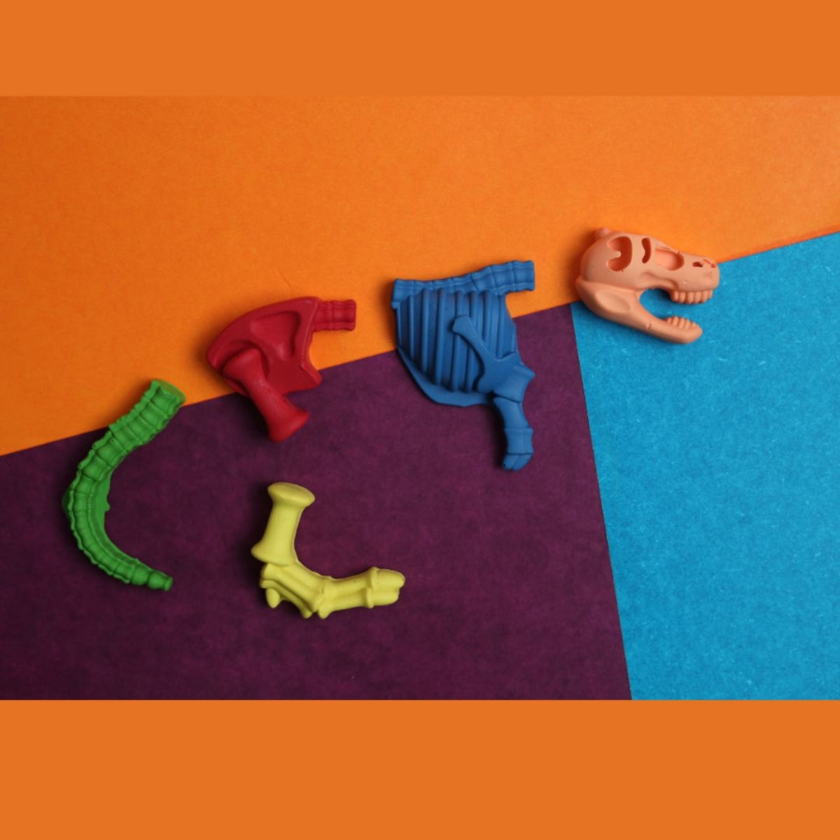 Fossil Crayon Set of 2