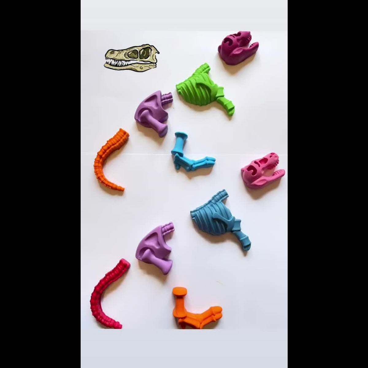 Fossil Crayon Set of 2