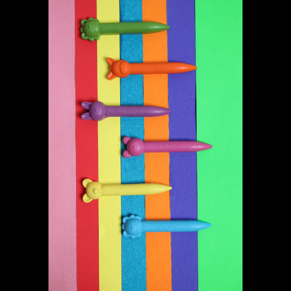 Animal Stick Crayons - Marbled / Plain Set of 6 / 12