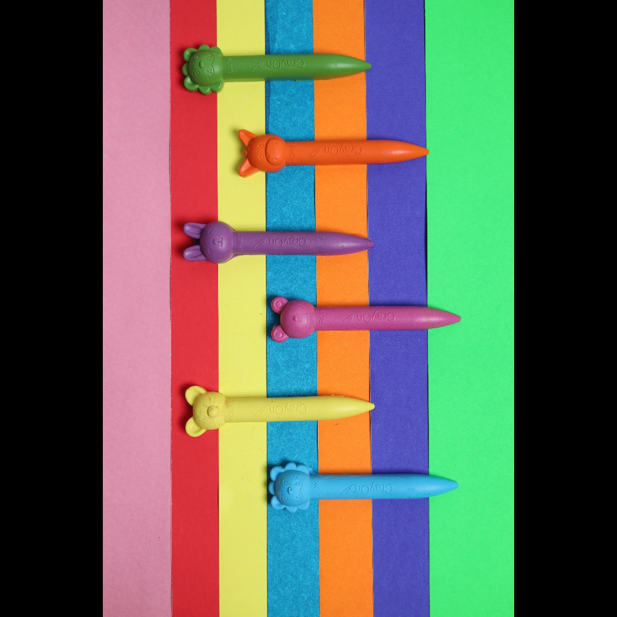 Animal Stick Crayons - Marbled / Plain Set of 6 / 12