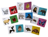 My Learning Library - Animals