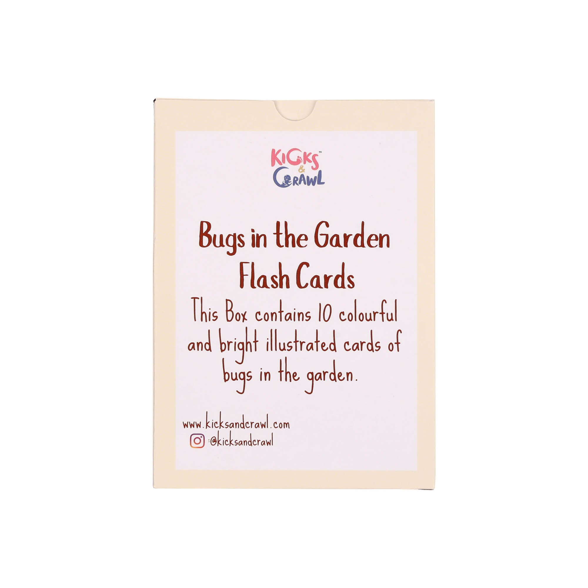 Kicks and Crawl - Bugs in the Garden Flashcards
