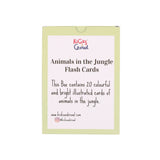 Kicks and Crawl - Animals in the Jungle Flashcards