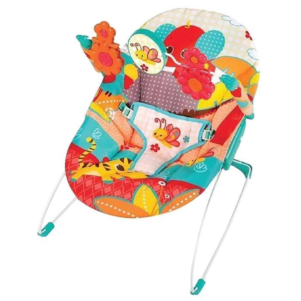 Mastela Music and Soothe Bouncer