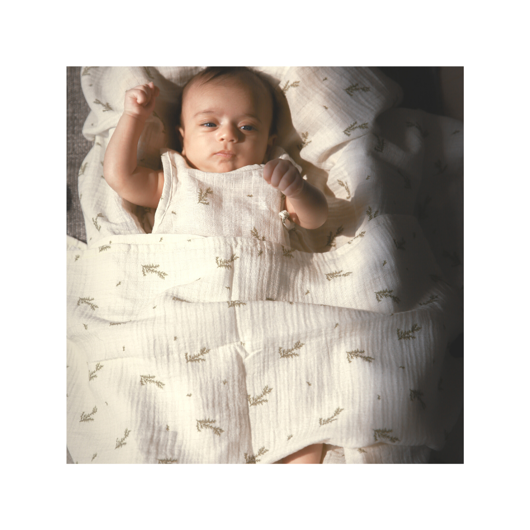 Dulaar Welcome Home Baby! Newborn Gift Box Set - Classic