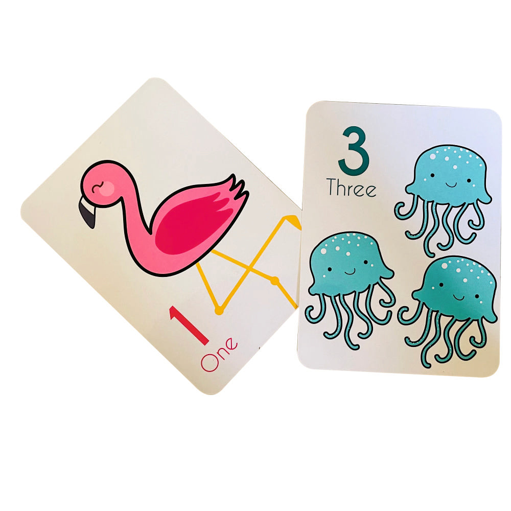 Numbers Flashcards And Counting Activity