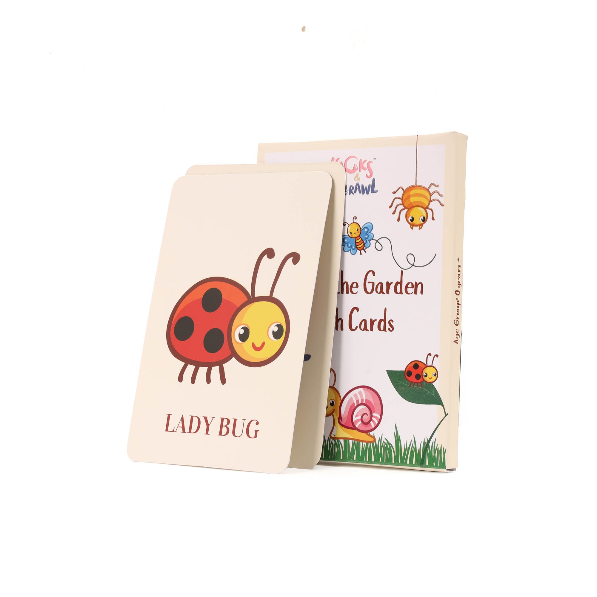 Kicks and Crawl - Bugs in the Garden Flashcards