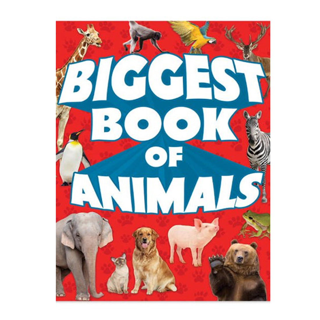 Biggest Book Of Animal
