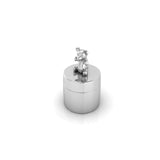 Sterling Silver Tooth Box - Teddy