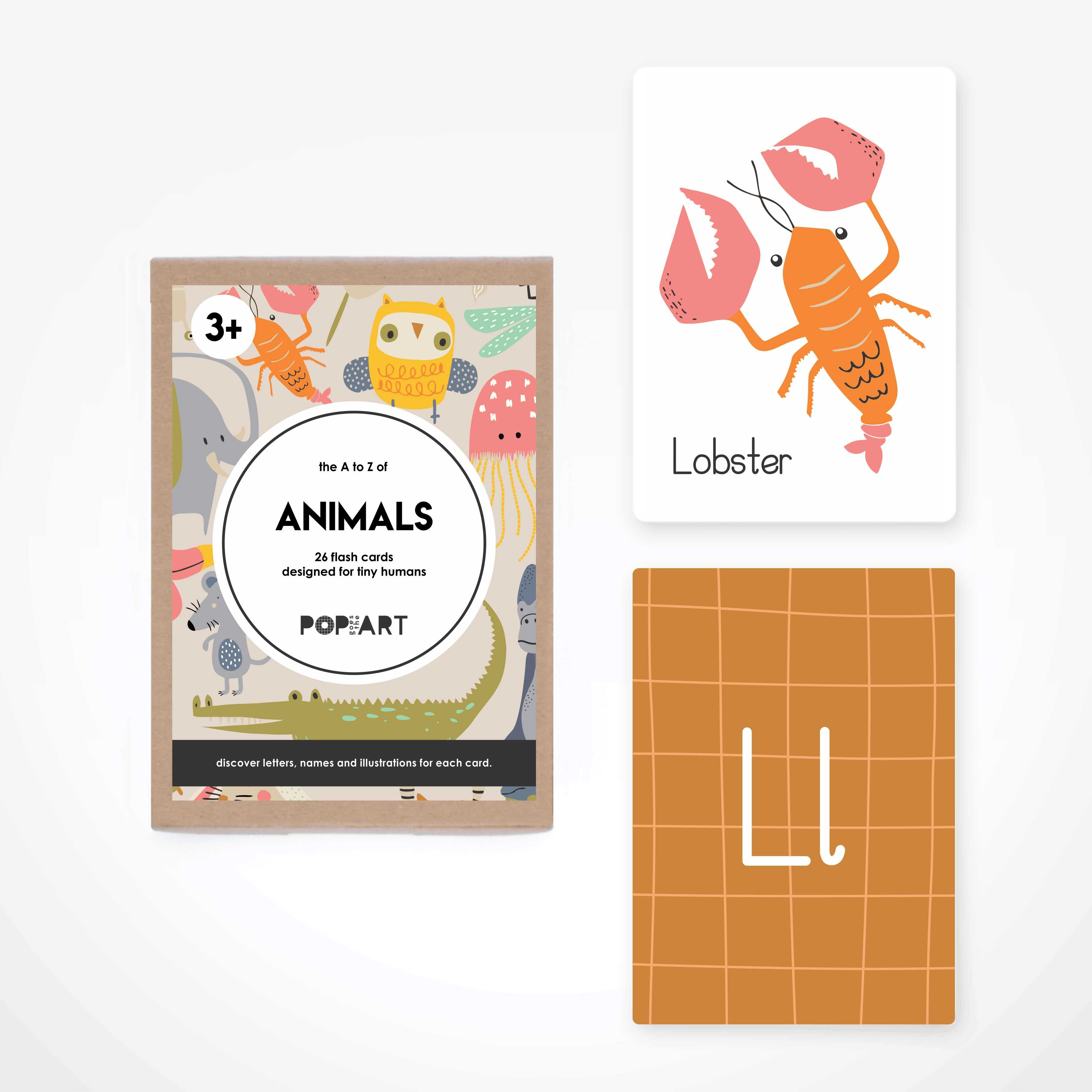Flash Cards | Animals