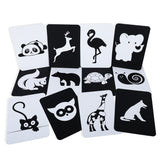 Baby Moo High Contrast Flash Cards Pack of 12 - Animals
