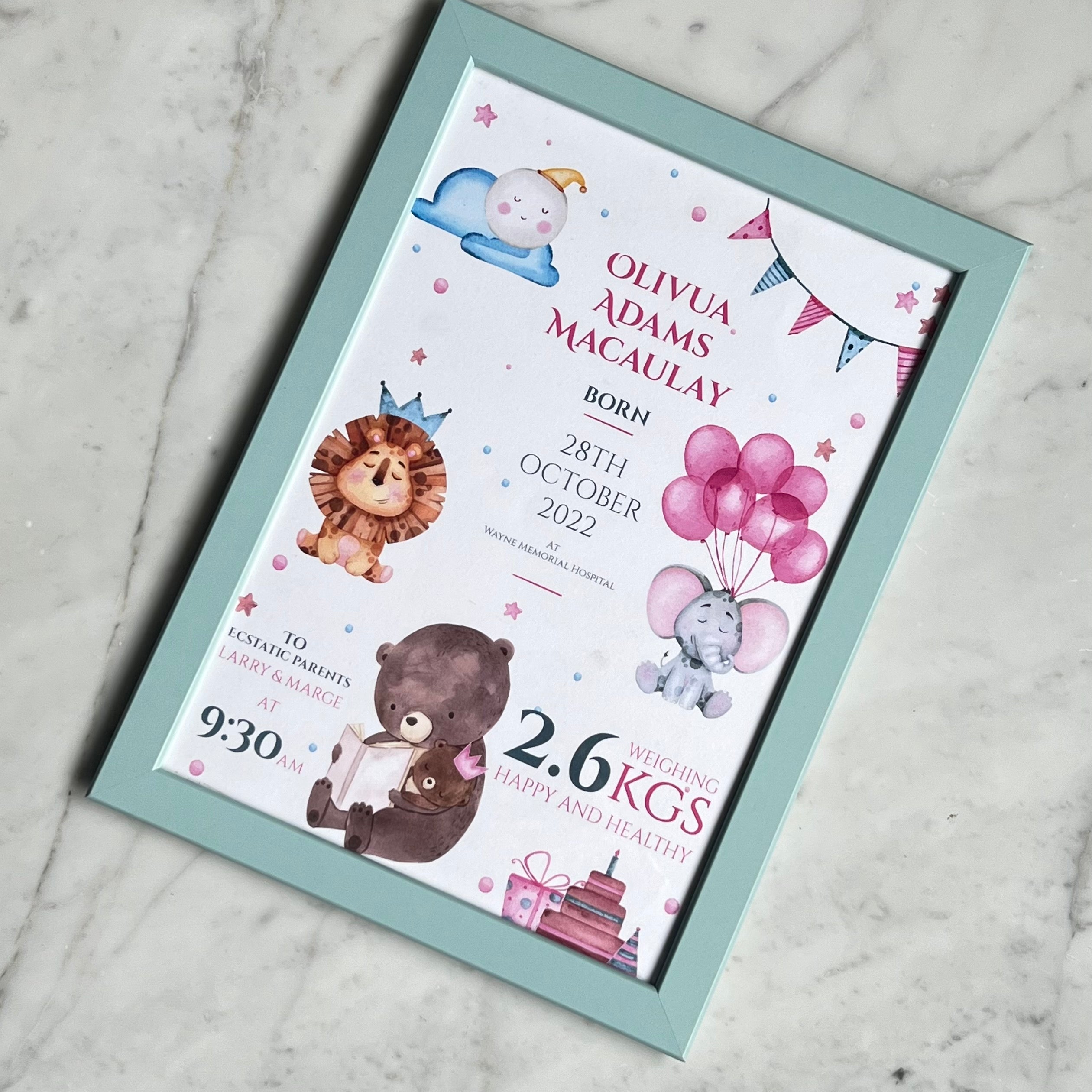 Newborn Baby Girl Statistic Frame