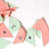 Masilo Triangle Bunting (Pink/Celadon) - Nursery Decor