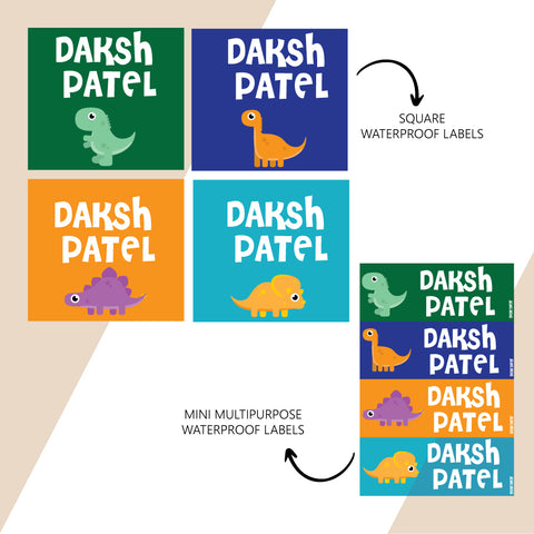 products/Dino-theme-waterproof-labels-combo.jpg