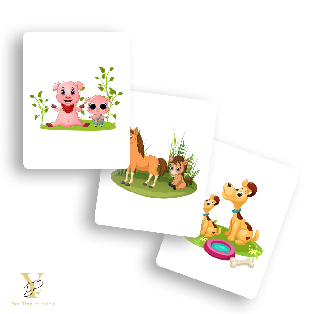 Doodle's Flash Cards Collection - Farm & Wild Animals