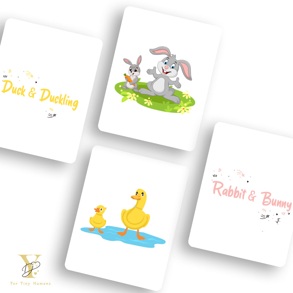 Doodle's Flash Cards Collection - Farm & Wild Animals