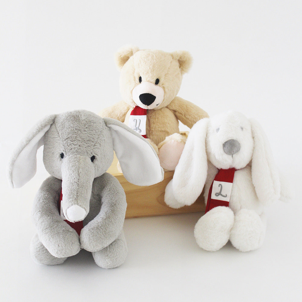 Personalized Christmas Teddy
