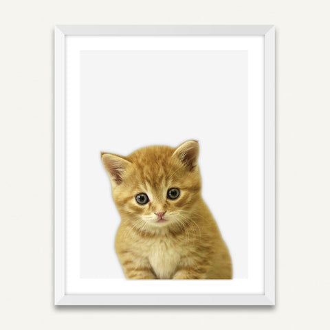Minimalist Framed Wall Art - Little Kitten