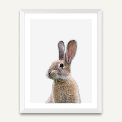 Minimalist Framed Wall Art - Little Rabbit