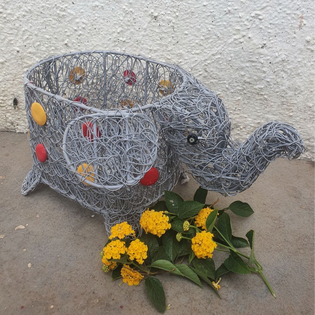 The Gray Meshed Elephant