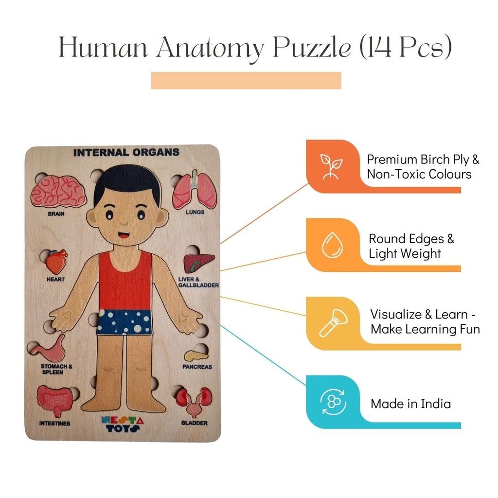 Nesta Toys - Human Anatomy | Internal Organs Puzzle