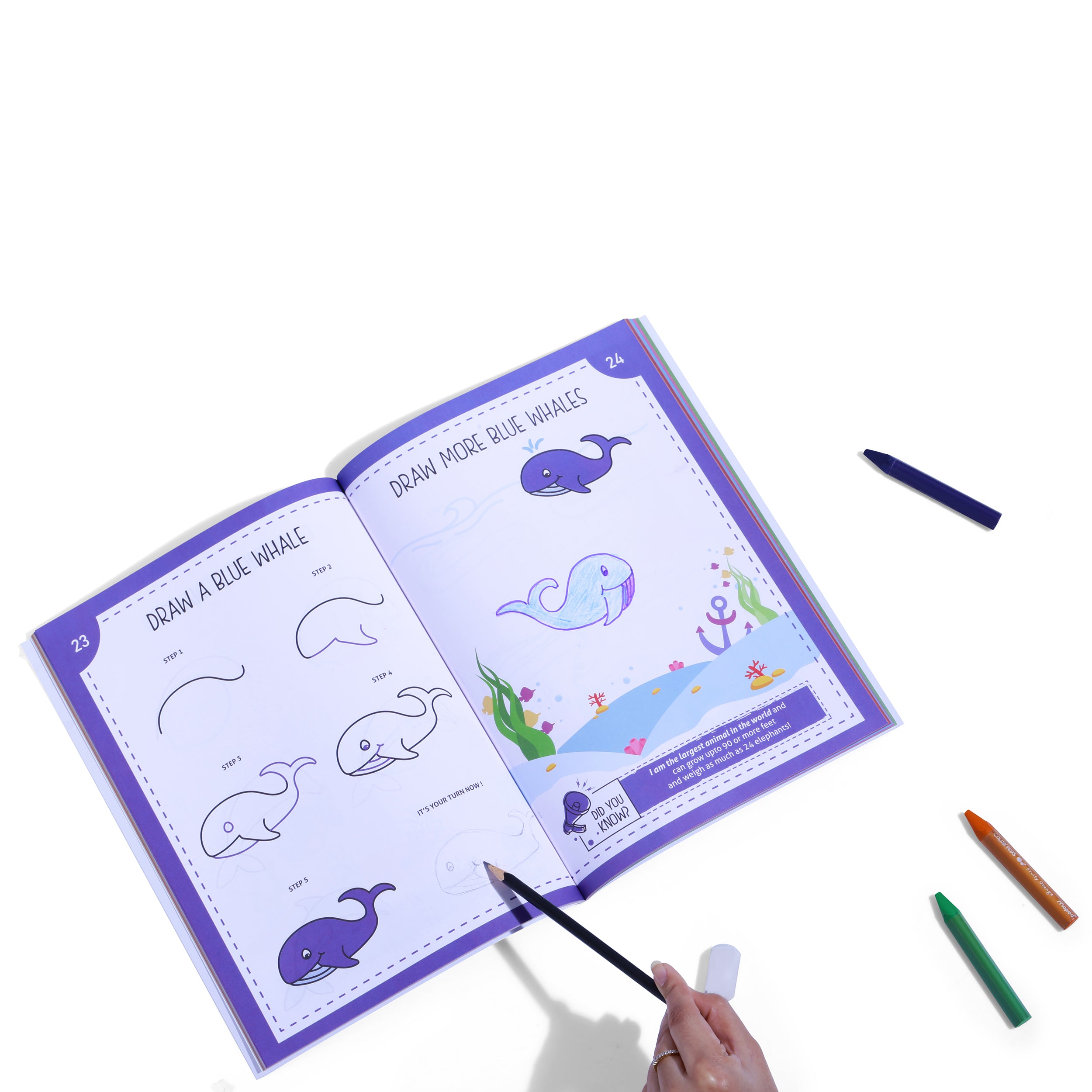 Pepplay Step By Step Drawing Book - Mystical Marine Life