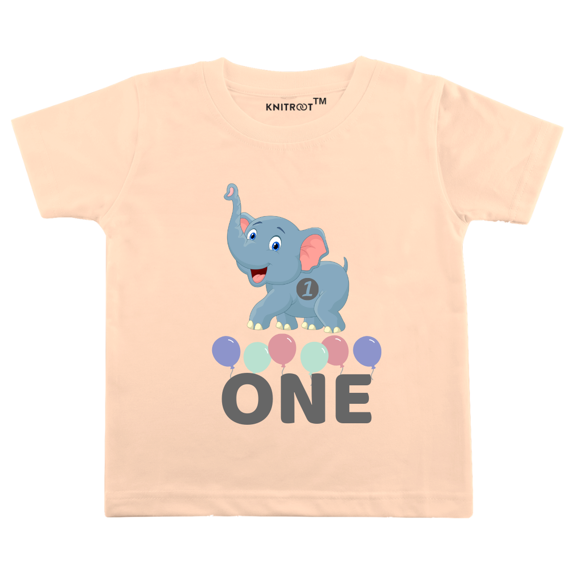 Baby First Birthday Tee