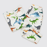 Dinosaurs Organic Pajama Set