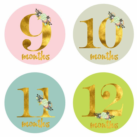 products/MonthlyMilestoneStickers-FloralTheme3.jpg