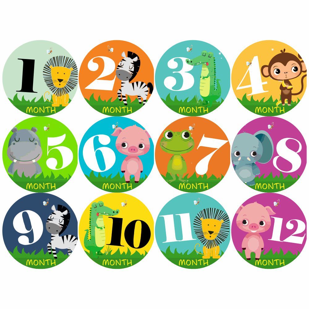 Monthly Milestone Stickers - Safari Theme
