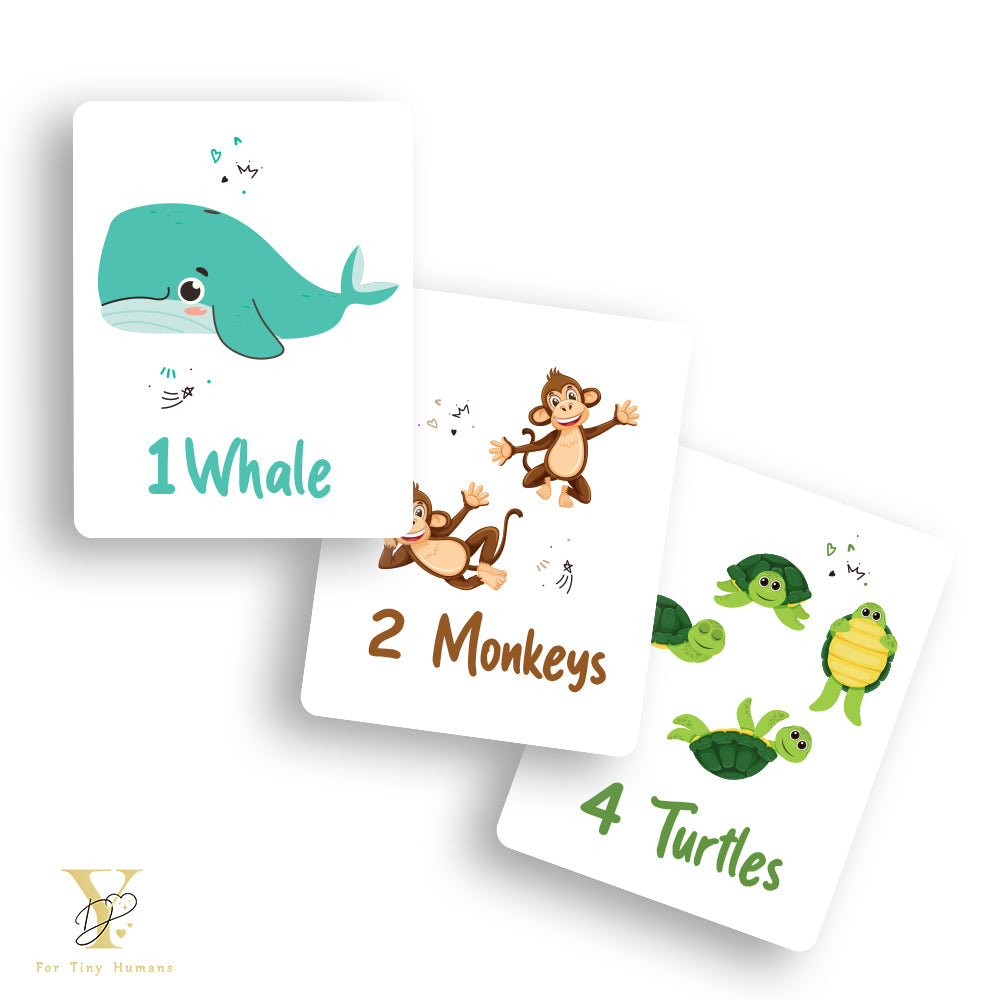 Doodle's Flash Cards Collection- Numbers & Abc