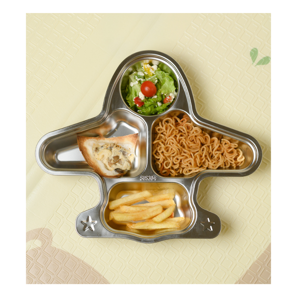 Stainless Steel Airplane Lunch Plate