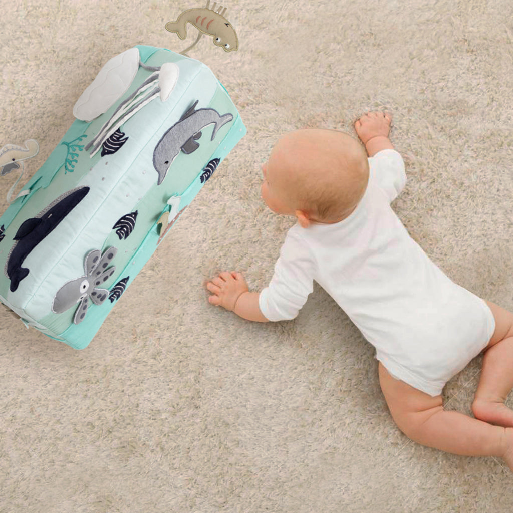 Ocean Tummy Time Toy