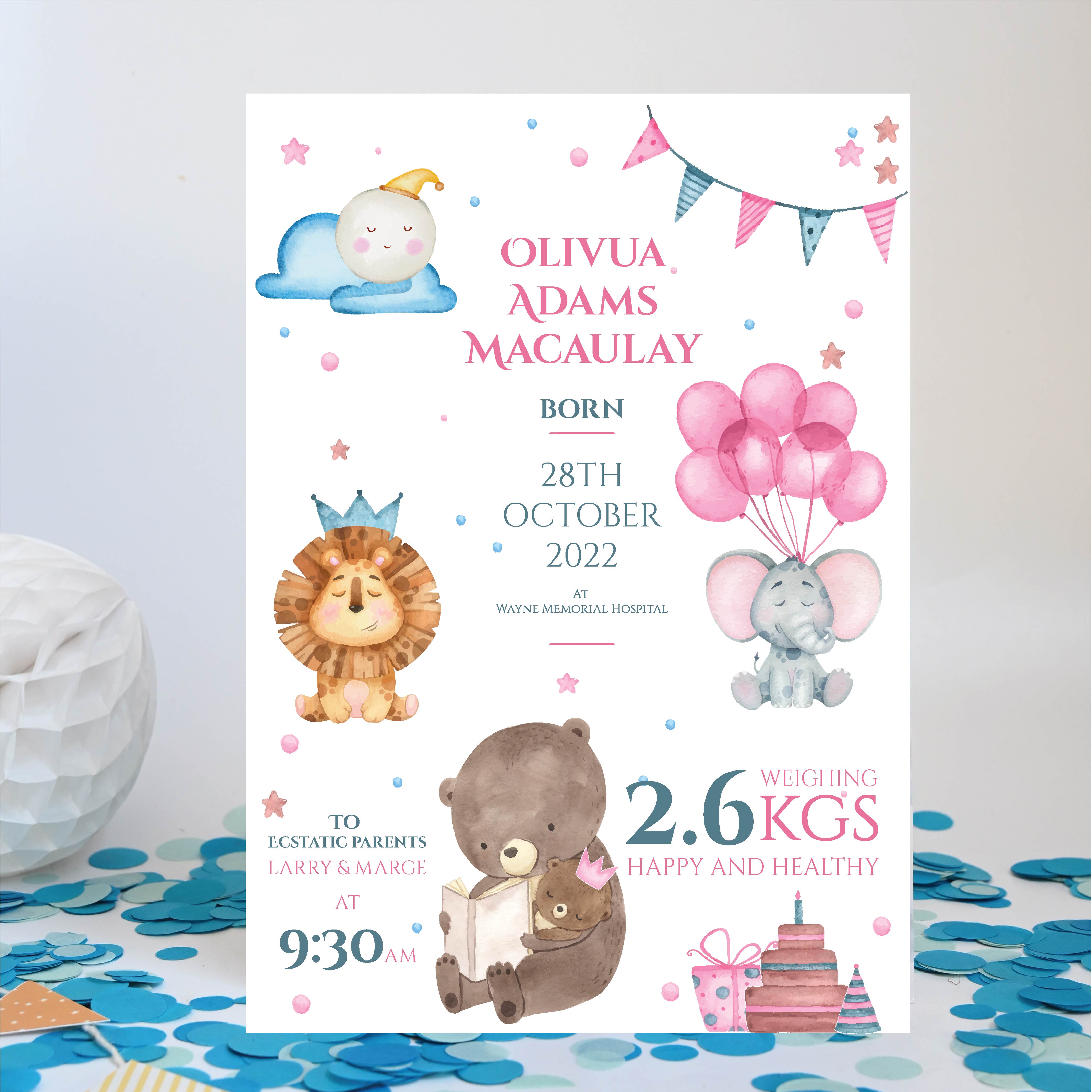 Newborn Baby Girl Statistics - Soft Copy / Sun Board