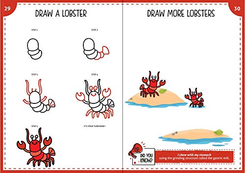 Pepplay Step By Step Drawing Book - Mystical Marine Life