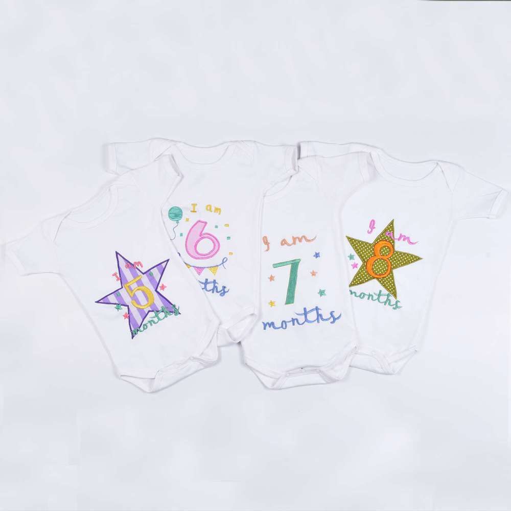 Hand Embroidered Milestone Romper Set of 12 - Bubble Thoughts