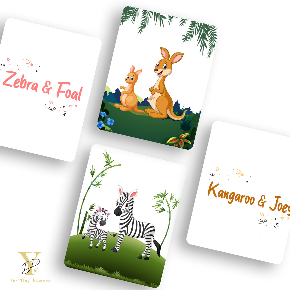 Doodle's Flash Cards - Wild Animals